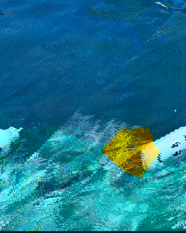 juliaernst juliaernst archive image