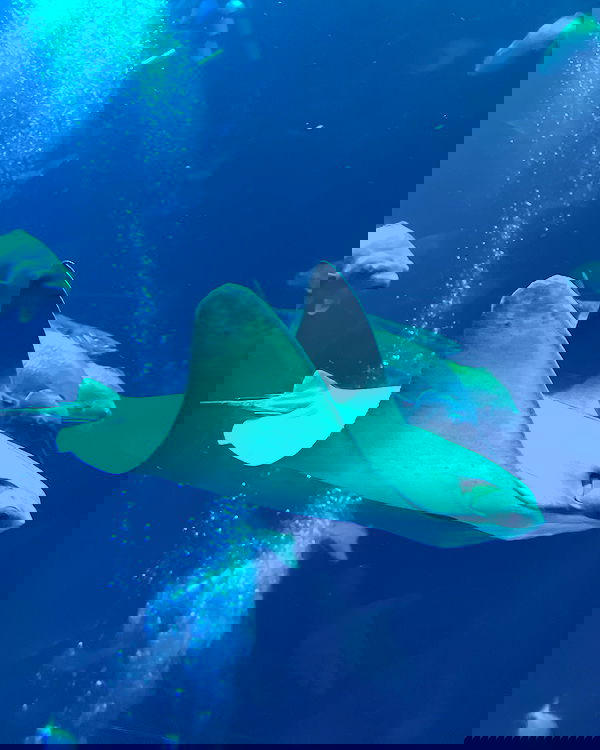 juliaernst juliaernst archive image