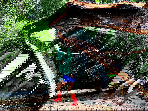 juliaernst juliaernst archive image