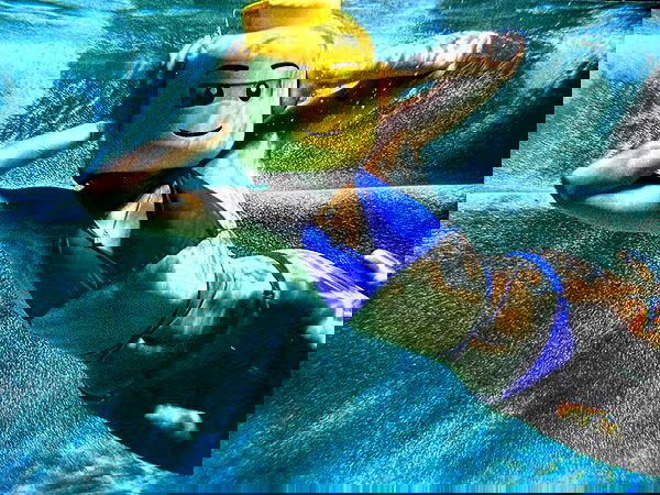 juliaernst juliaernst archive image