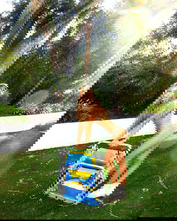 juliaernst juliaernst archive image