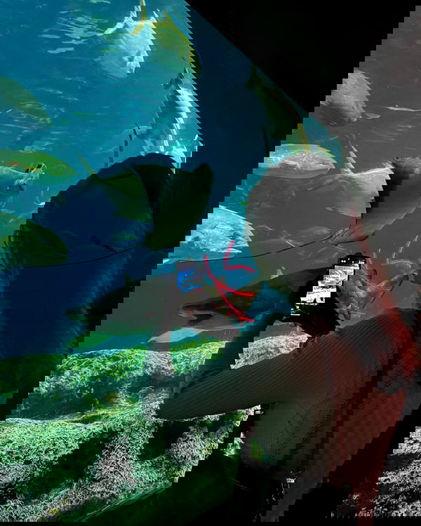 juliaernst juliaernst archive image