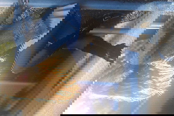 juliaernst juliaernst archive image