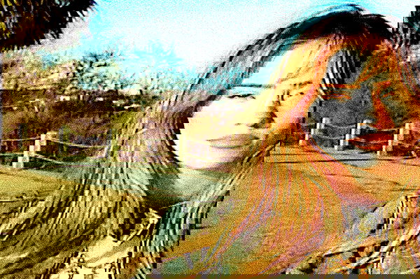 juliaernst juliaernst archive image