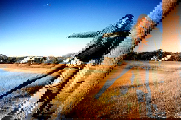 juliaernst juliaernst archive image