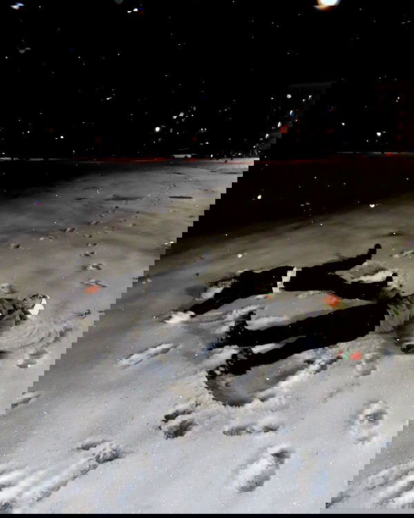 juliaernst juliaernst archive image