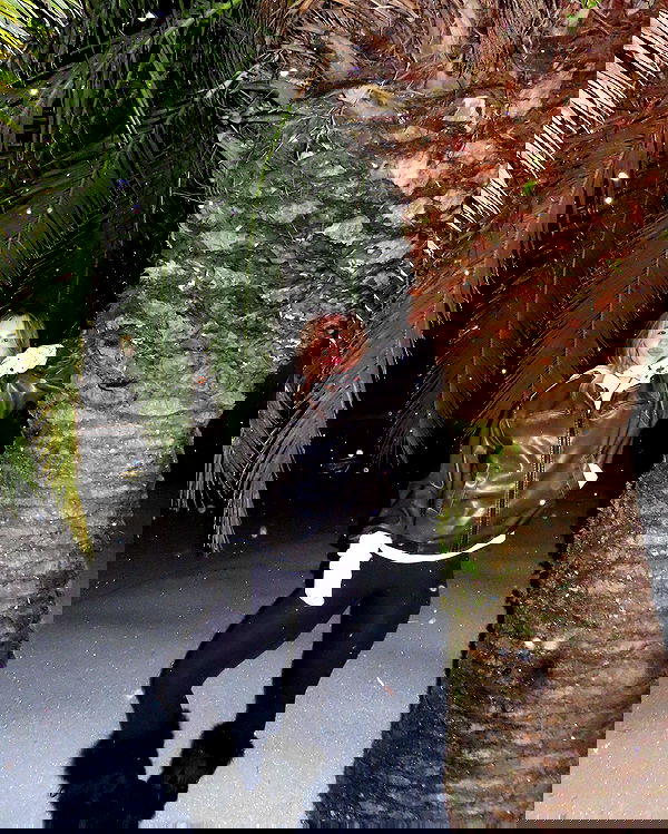 juliaernst juliaernst archive image