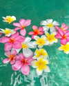 juliet.joness_ Altpins Profile Picture