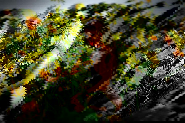 kaliamorcita image ~ Altpins