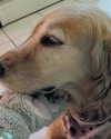 karemy.chi Altpins Profile Picture