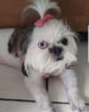 karemy.chi Altpins Profile Picture