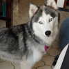 karemy.chi Altpins Profile Picture
