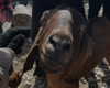 karinkabatianski Altpins Profile Picture