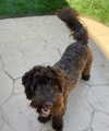 katelynernst3 Altpins Profile Picture