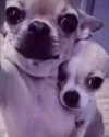 katelynernst3 Altpins Profile Picture