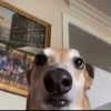 katelynernst3 Altpins Profile Picture