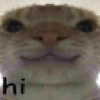 katelynernst3 Altpins Profile Picture