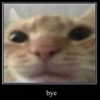 katelynernst3 Altpins Profile Picture