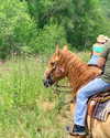 katelynernst3 Altpins Profile Picture