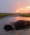 katelynernst3 Altpins Profile Picture