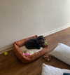 katelynernst3 Altpins Profile Picture