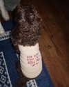katelynernst3 Altpins Profile Picture