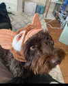katelynernst3 Altpins Profile Picture