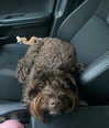 katelynernst3 Altpins Profile Picture