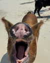 katelynernst3 Altpins Profile Picture