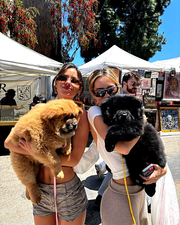 katelynernst3 instagram image archive image