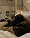 katelynernst3 Altpins Profile Picture