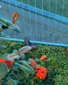 katelynernst3 Altpins Profile Picture