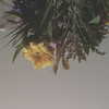 keira.daniella Altpins Profile Picture