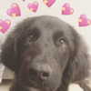 keira.daniella Altpins Profile Picture