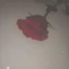 keira.daniella Altpins Profile Picture