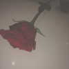 keira.daniella Altpins Profile Picture