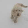 keira.daniella Altpins Profile Picture