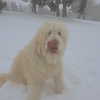 keira.daniella Altpins Profile Picture