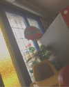 keira.daniella Altpins Profile Picture