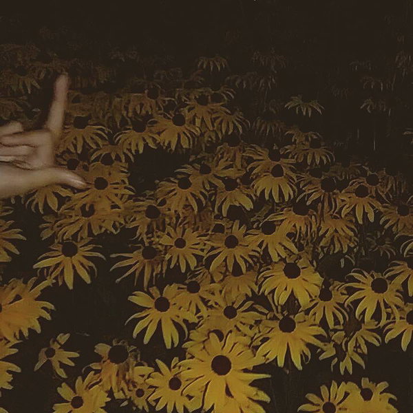 keira.daniella instagram image archive image