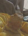 keira.daniella Altpins Profile Picture