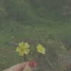 keira.daniella Altpins Profile Picture
