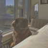 keira.daniella Altpins Profile Picture
