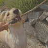 keira.daniella Altpins Profile Picture