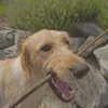 keira.daniella Altpins Profile Picture