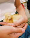 keira.daniella Altpins Profile Picture