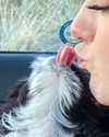 keira.daniella Altpins Profile Picture