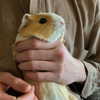keira.daniella Altpins Profile Picture