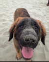 keira.daniella Altpins Profile Picture