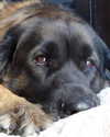 keira.daniella Altpins Profile Picture